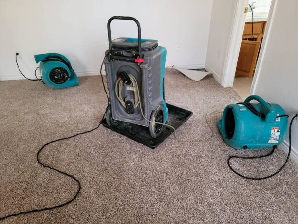 Best Water damage restoration experts  in Augusta, AR