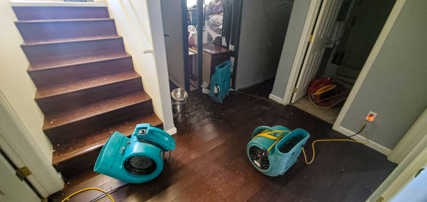 Best Water damage restoration specialists  in Augusta, AR