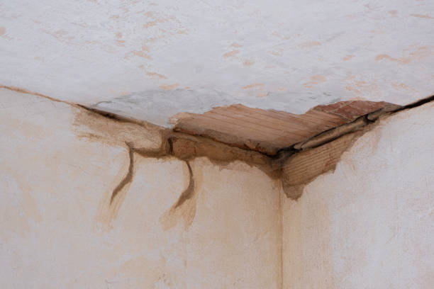 Best Professional water damage repair  in Augusta, AR