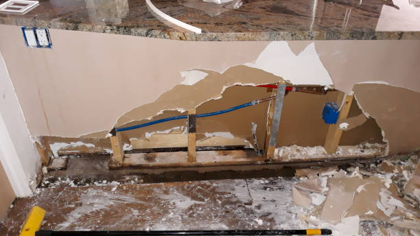 Best Mold removal after water damage  in Augusta, AR