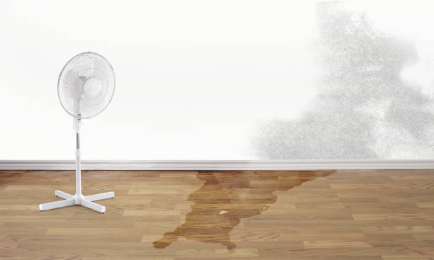Best Flooded house restoration  in Augusta, AR