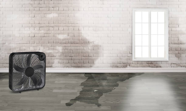Best 24-hour water damage restoration  in Augusta, AR