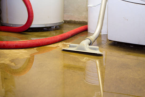 Best Water damage restoration near me  in Augusta, AR