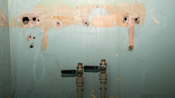 Best Water damage restoration company  in Augusta, AR