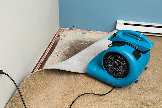 Best Water damage restoration near me  in Augusta, AR